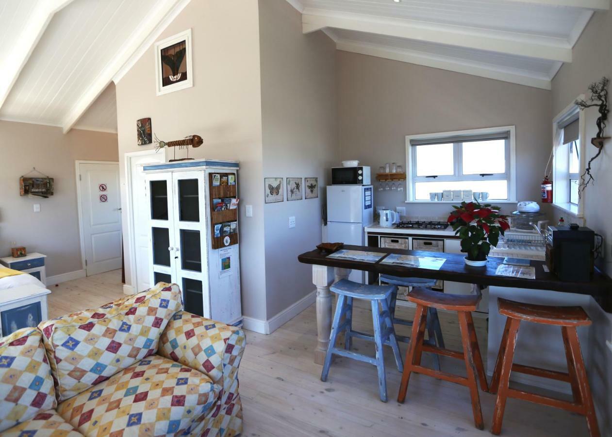 Reddoor Studio Pringle Bay Εξωτερικό φωτογραφία